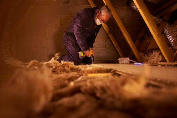 Best Eco-Friendly Insulation in Dowagiac, MI